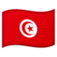 🇹🇳 🇹🇳