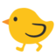 🐤 🐤